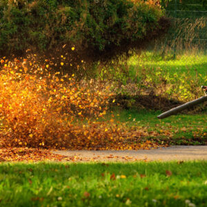 A Brief Guide To Buying A Leaf Blower